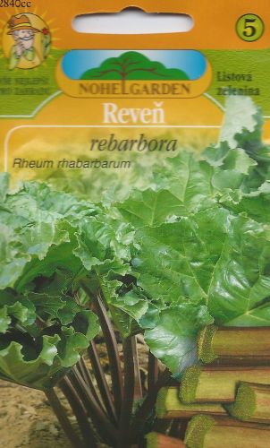 Z - Rebarbora